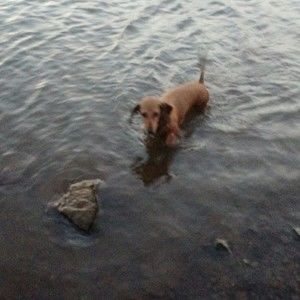 Meet your Posher, Sandra